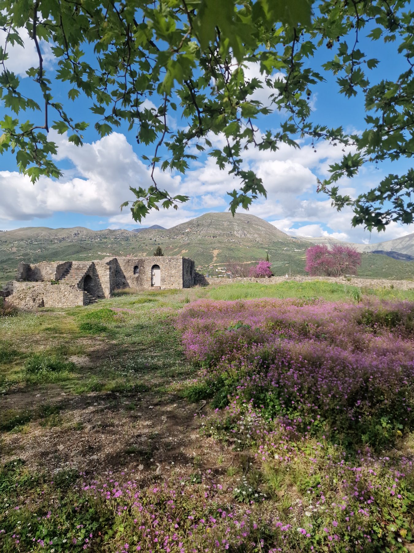 Mesopotam Monastery amid spring heather