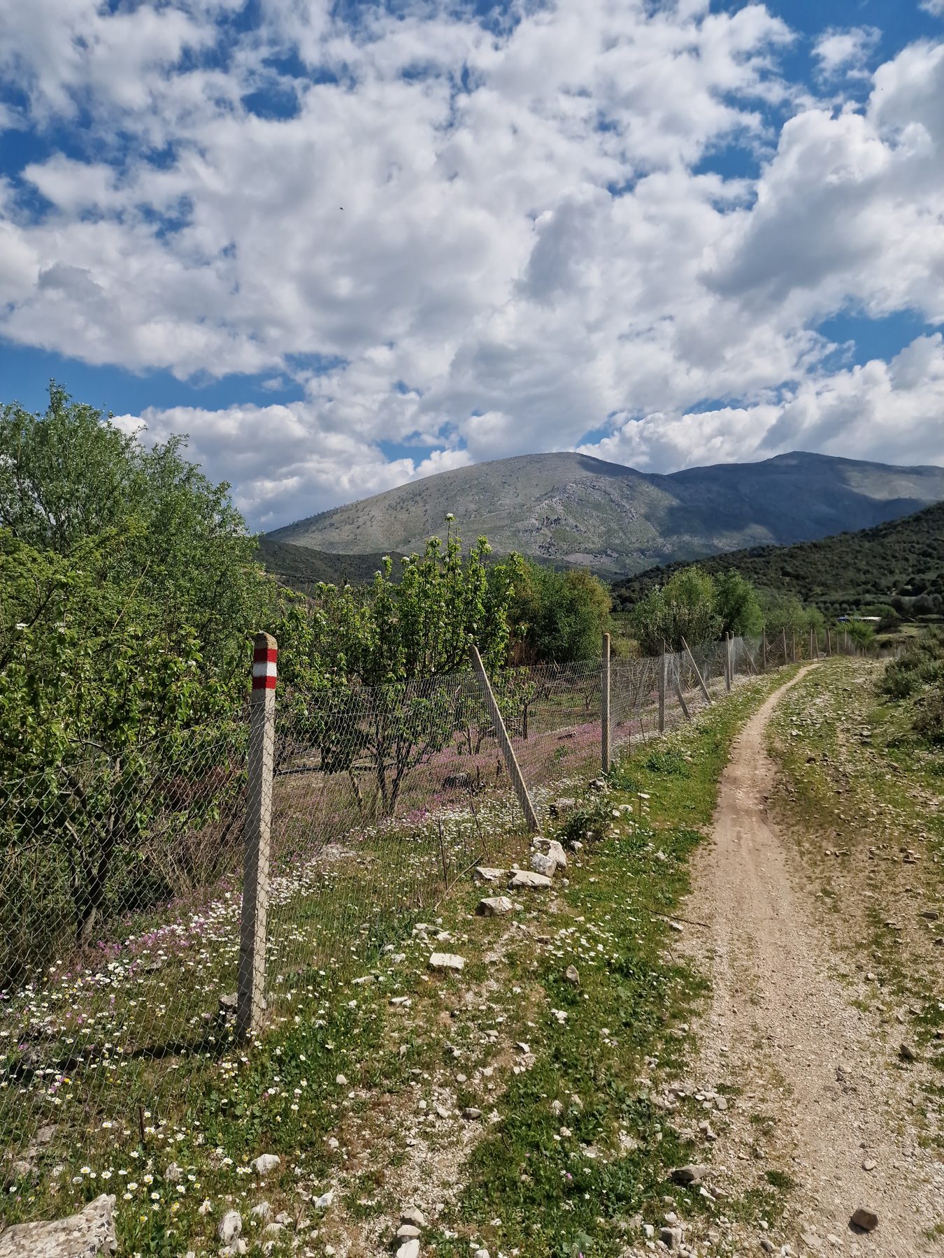 The path through the Drinos valley