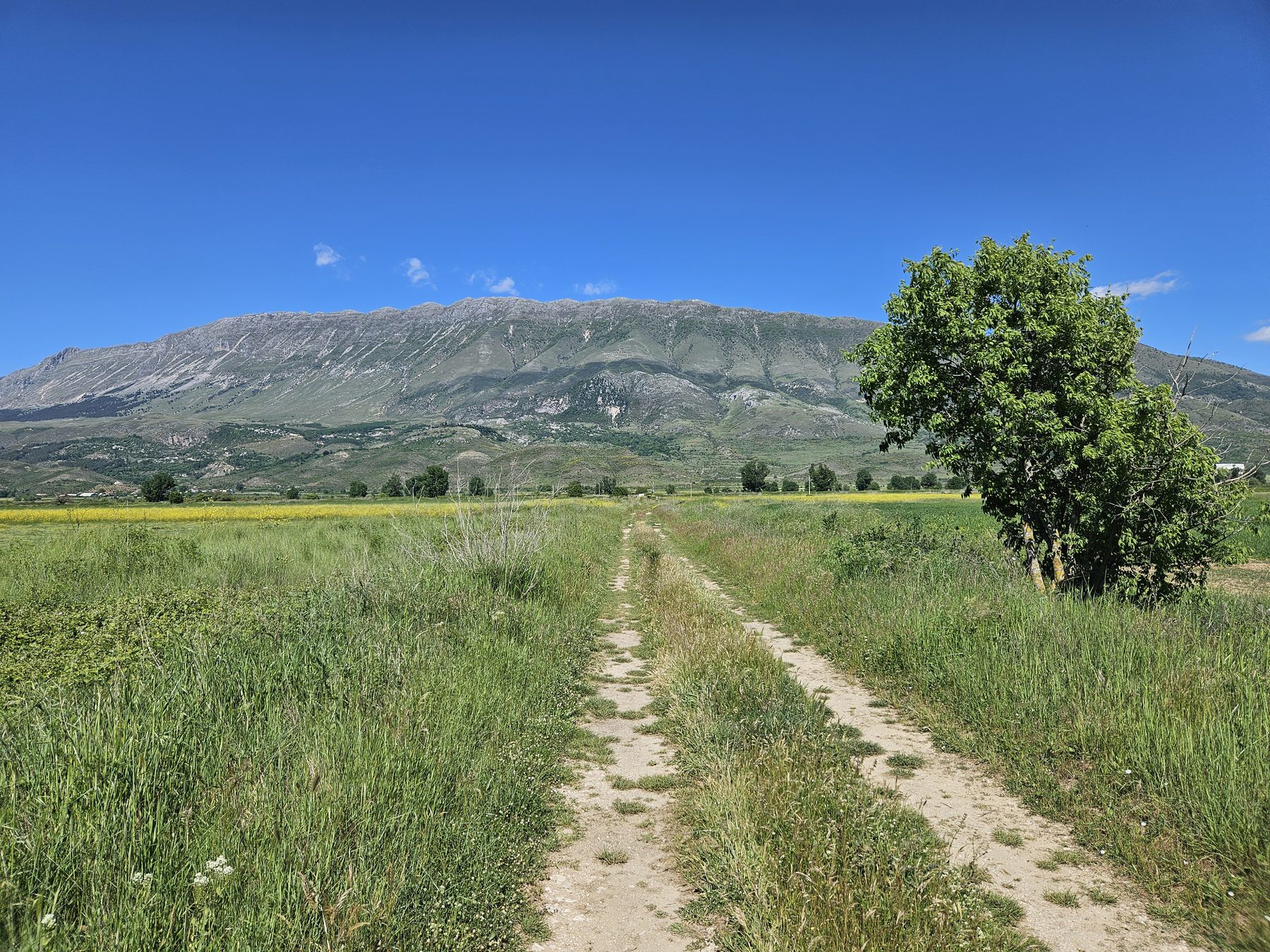 The track through fields toward Labovë
