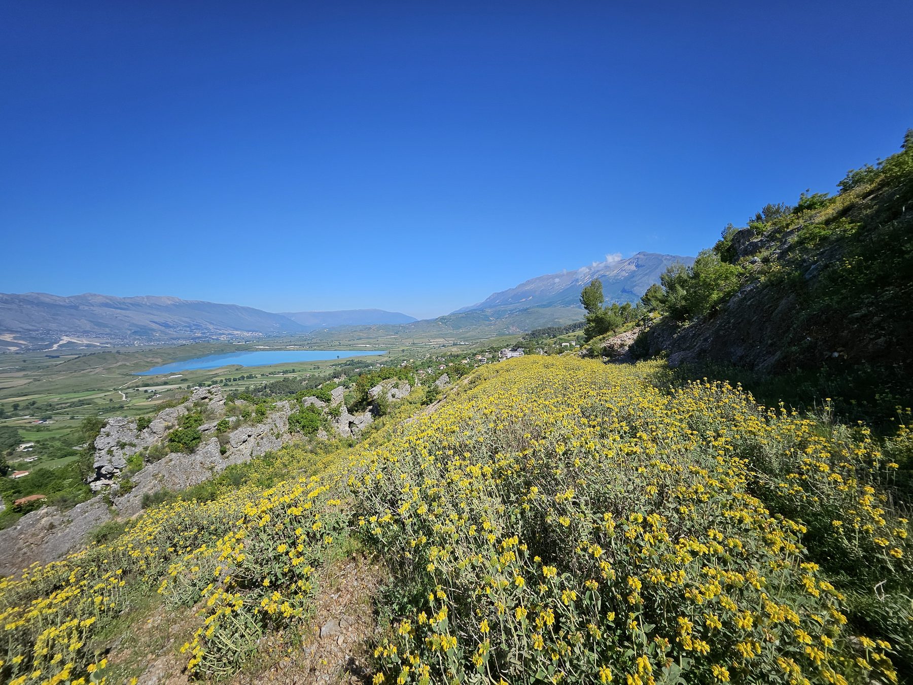 A mountain lake ringed by yellow flowers
