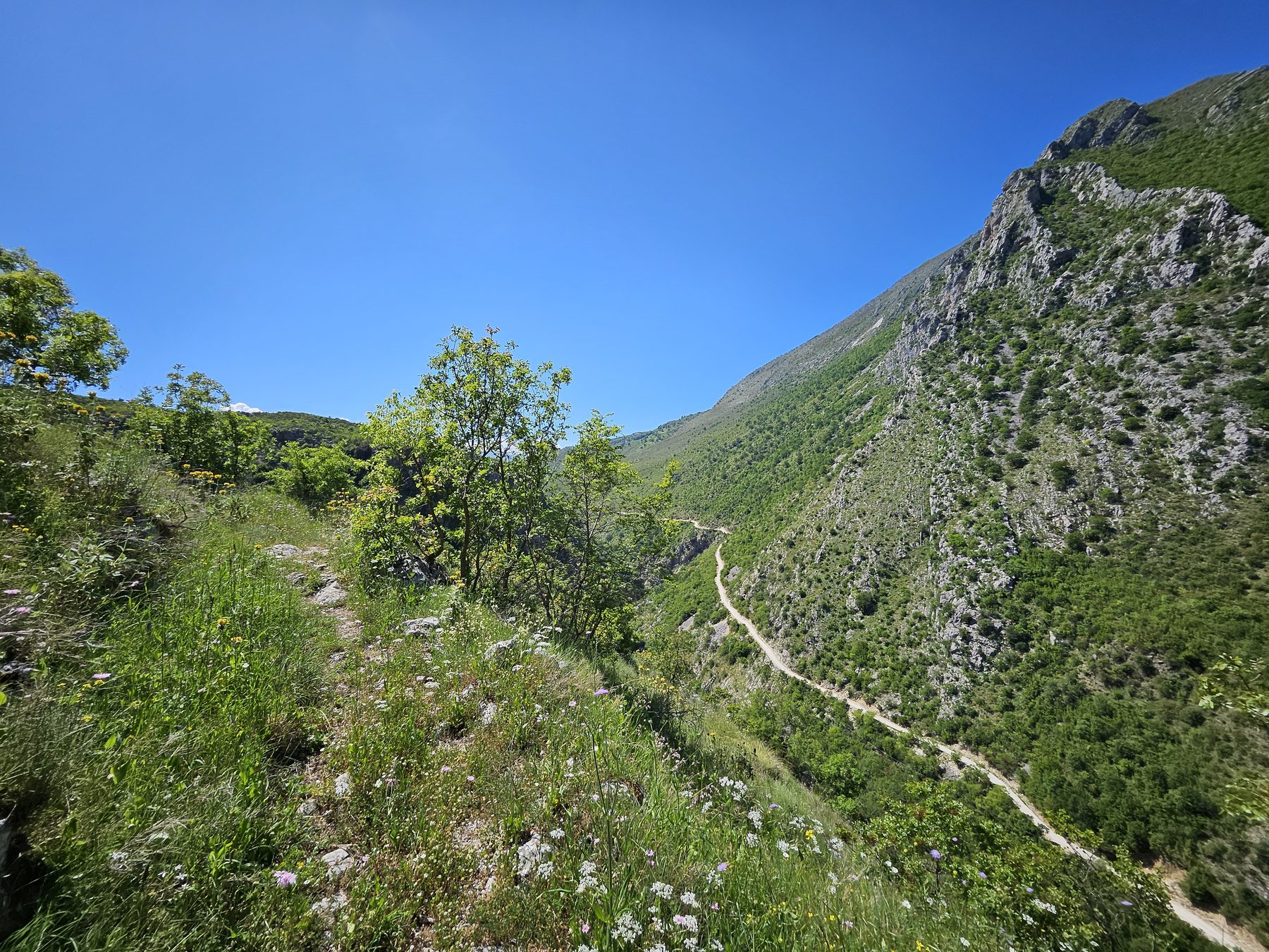 Forested ridges near Sheper