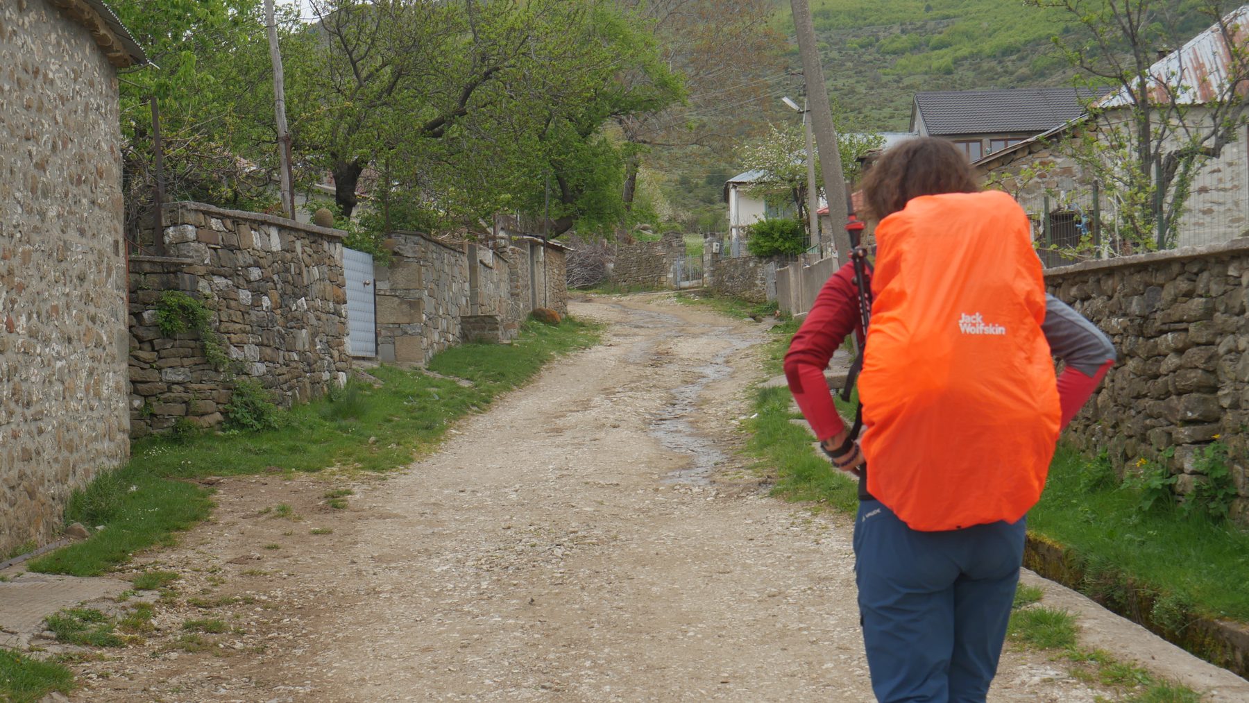 A packhorse on the mountain trail