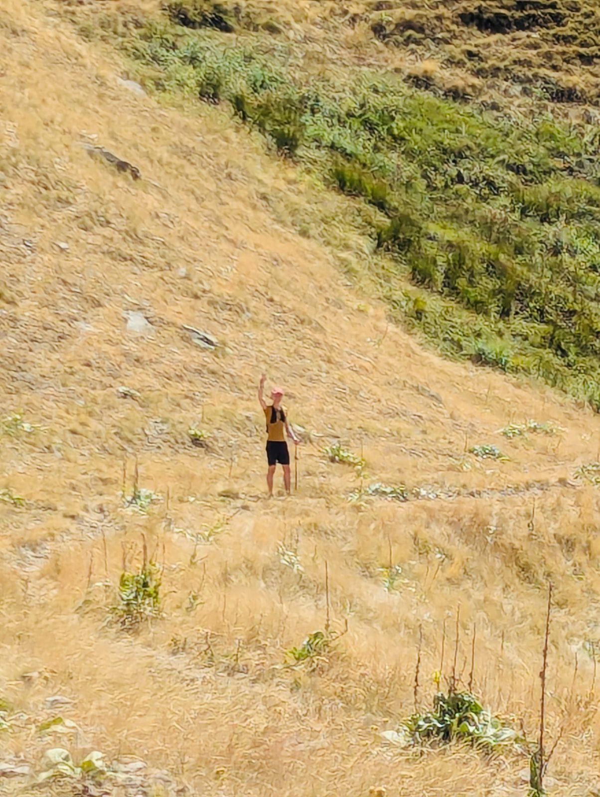 Golden slopes on the climb to Gramoz