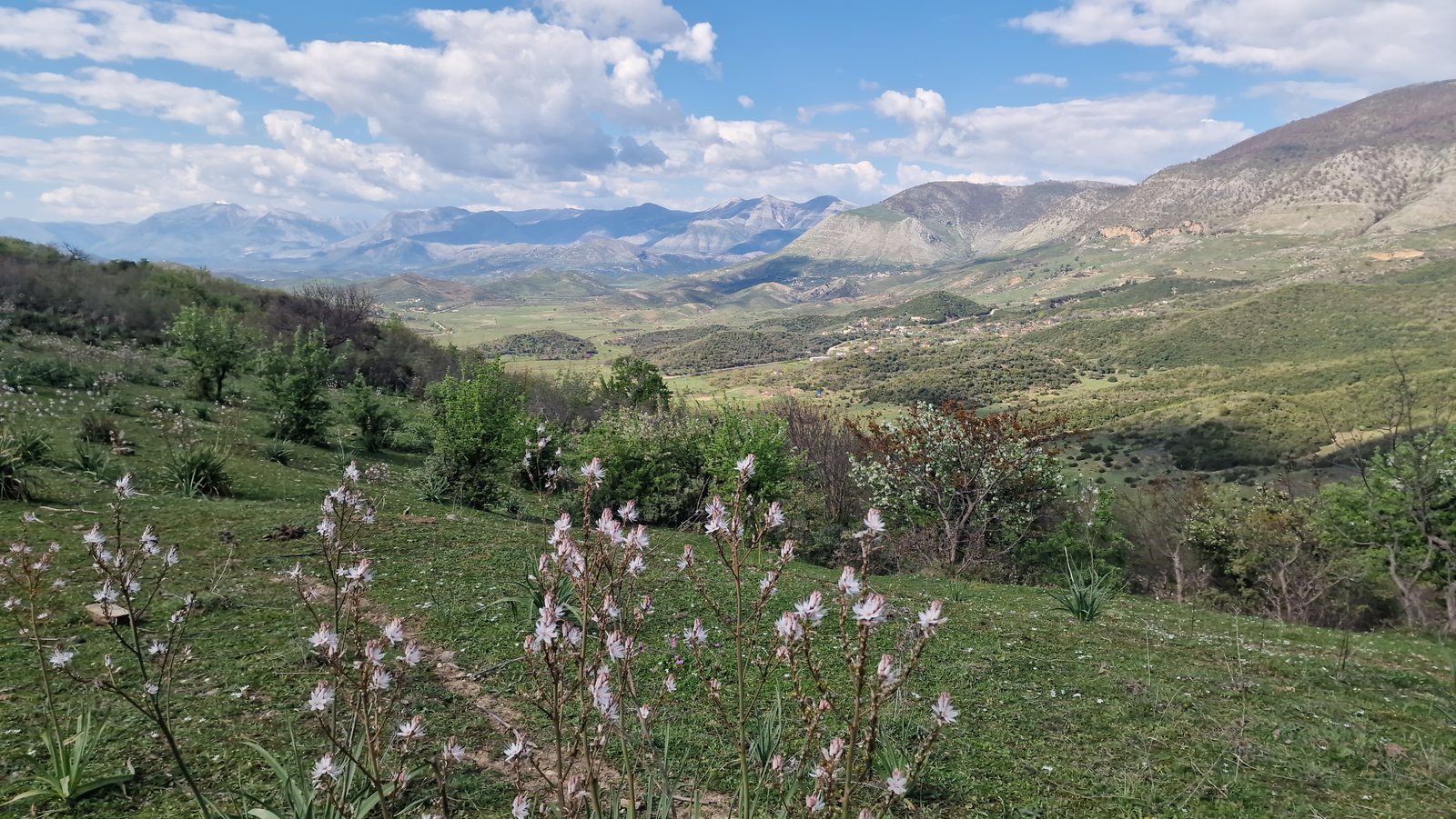 Livadhja — Navaricë